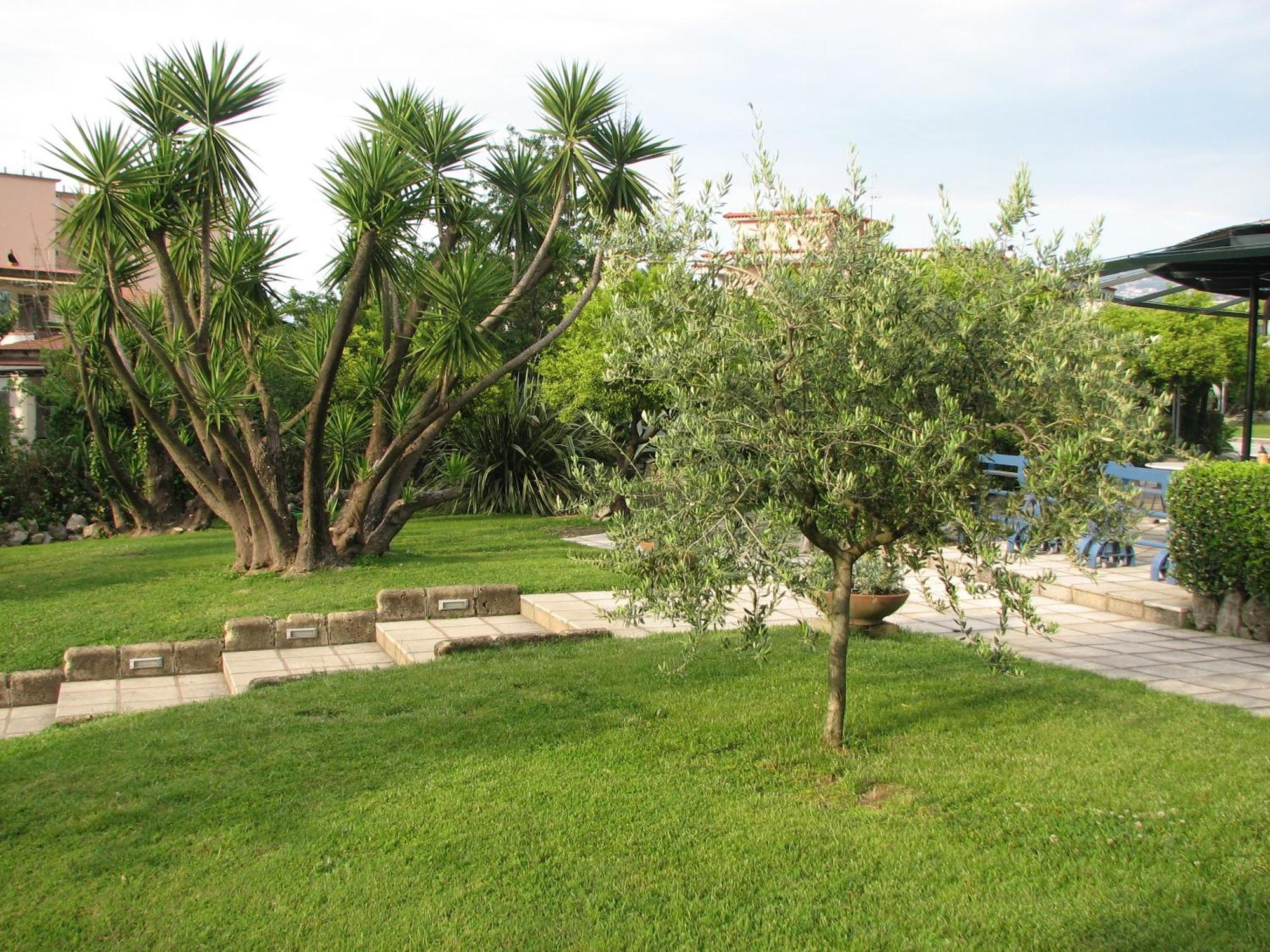 Hotel Parco Castellammare di Stabia Esterno foto